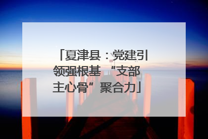 夏津县：党建引领强根基 “支部主心骨”聚合力