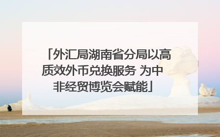 外汇局湖南省分局以高质效外币兑换服务 为中非经贸博览会赋能