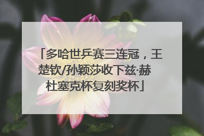 多哈世乒赛三连冠，王楚钦/孙颖莎收下兹·赫杜塞克杯复刻奖杯
