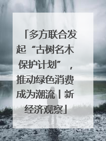 多方联合发起“古树名木保护计划”，推动绿色消费成为潮流丨新经济观察