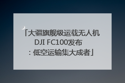 大疆旗舰级运载无人机DJI FC100发布：低空运输集大成者