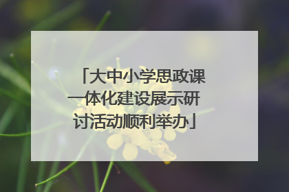 大中小学思政课一体化建设展示研讨活动顺利举办