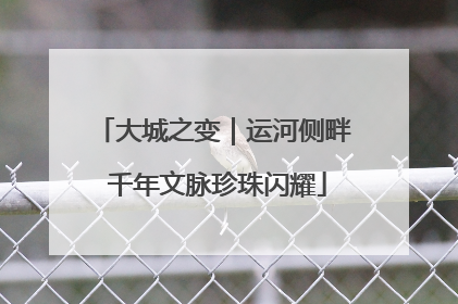 大城之变｜运河侧畔 千年文脉珍珠闪耀