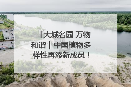 大城名园 万物和谐｜中国植物多样性再添新成员！它只在西藏墨脱