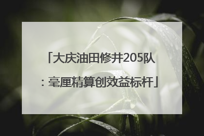 大庆油田修井205队：毫厘精算创效益标杆