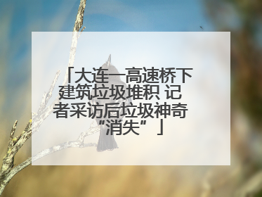 大连一高速桥下建筑垃圾堆积 记者采访后垃圾神奇“消失”