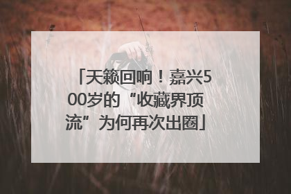 天籁回响！嘉兴500岁的“收藏界顶流”为何再次出圈