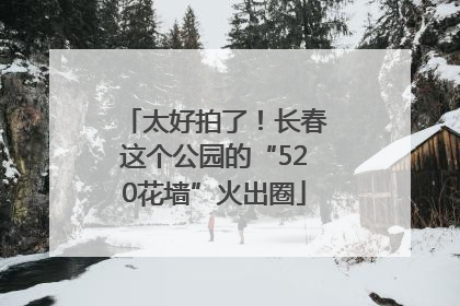 太好拍了！长春这个公园的“520花墙”火出圈