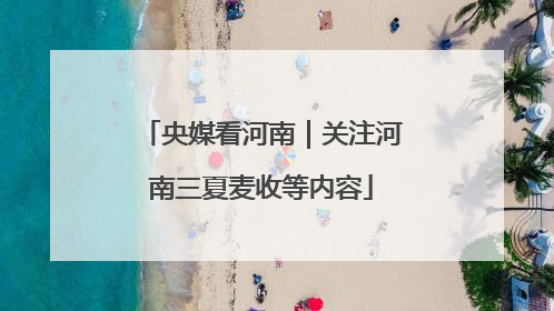 央媒看河南｜关注河南三夏麦收等内容
