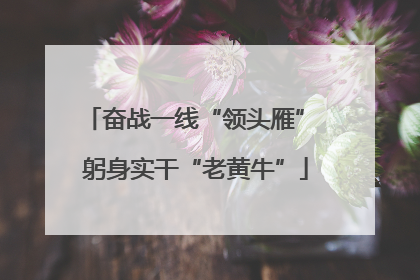 奋战一线“领头雁” 躬身实干“老黄牛”