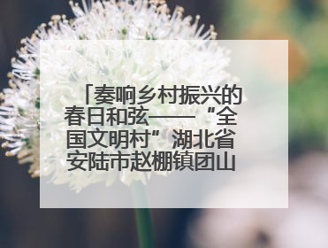 奏响乡村振兴的春日和弦——“全国文明村”湖北省安陆市赵棚镇团山村农文旅融合发展见闻