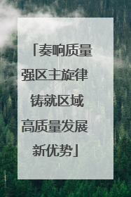 奏响质量强区主旋律 铸就区域高质量发展新优势