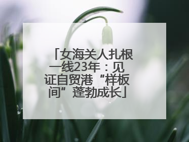 女海关人扎根一线23年：见证自贸港“样板间”蓬勃成长