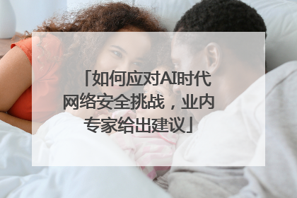 如何应对AI时代网络安全挑战，业内专家给出建议