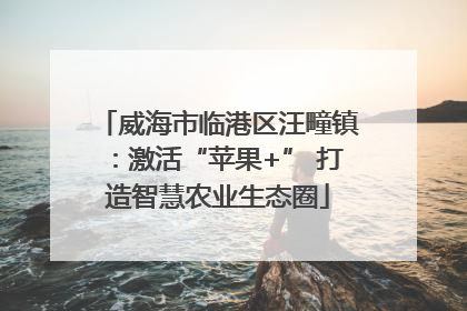 威海市临港区汪疃镇：激活“苹果+” 打造智慧农业生态圈