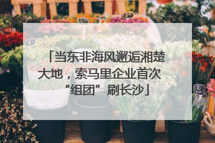 当东非海风邂逅湘楚大地，索马里企业首次“组团”刷长沙