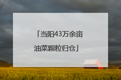 当阳43万余亩油菜颗粒归仓