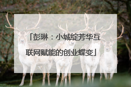 彭琳：小城绽芳华互联网赋能的创业蝶变