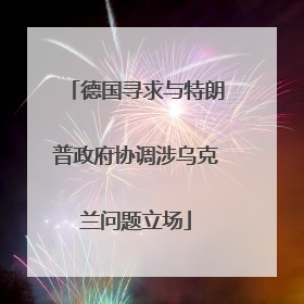 德国寻求与特朗普政府协调涉乌克兰问题立场