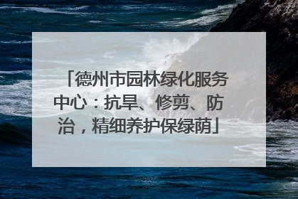 德州市园林绿化服务中心：抗旱、修剪、防治，精细养护保绿荫