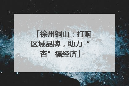 徐州铜山：打响区域品牌，助力“杏”福经济