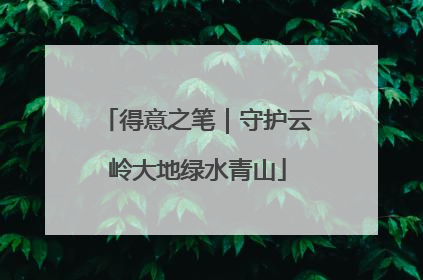 得意之笔｜守护云岭大地绿水青山