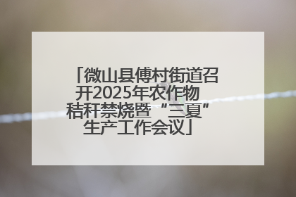 微山县傅村街道召开2025年农作物秸秆禁烧暨“三夏”生产工作会议