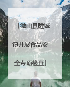 微山县驩城镇开展食品安全专项检查
