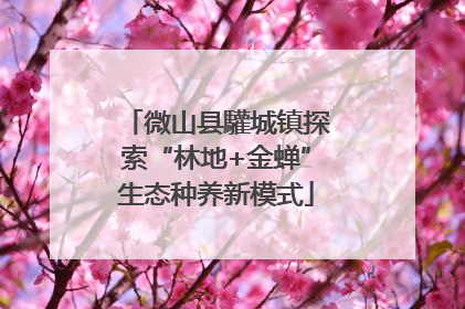 微山县驩城镇探索“林地+金蝉”生态种养新模式