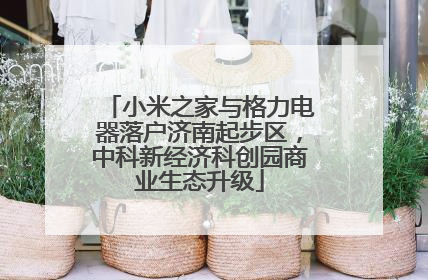小米之家与格力电器落户济南起步区，中科新经济科创园商业生态升级