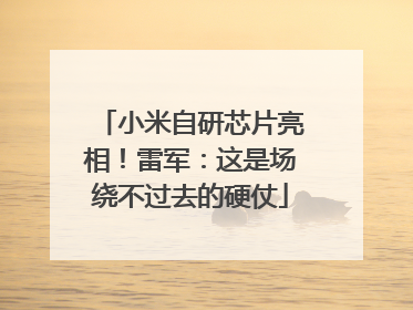 小米自研芯片亮相！雷军：这是场绕不过去的硬仗