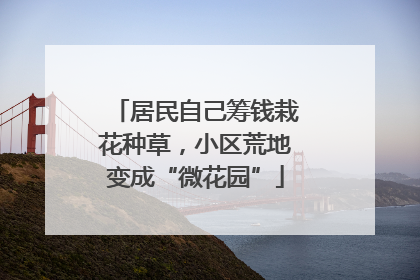 居民自己筹钱栽花种草，小区荒地变成“微花园”