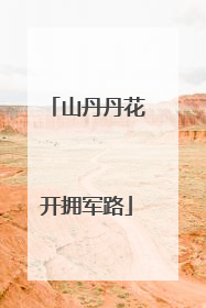山丹丹花开拥军路