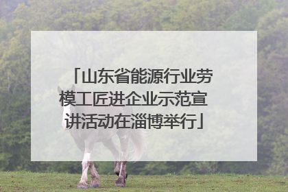 山东省能源行业劳模工匠进企业示范宣讲活动在淄博举行