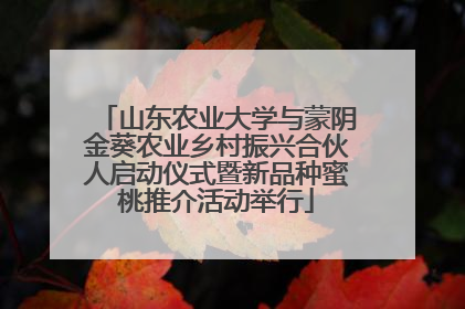 山东农业大学与蒙阴金葵农业乡村振兴合伙人启动仪式暨新品种蜜桃推介活动举行