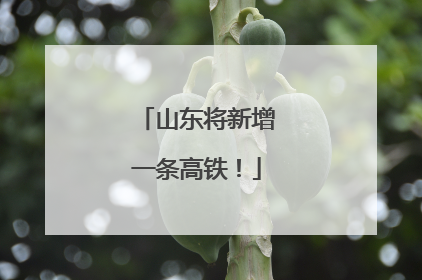 山东将新增一条高铁！
