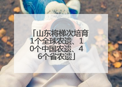 山东将梯次培育1个全球农遗、10个中国农遗、46个省农遗