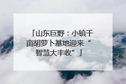 山东巨野：小镇千亩胡萝卜基地迎来“智慧大丰收”