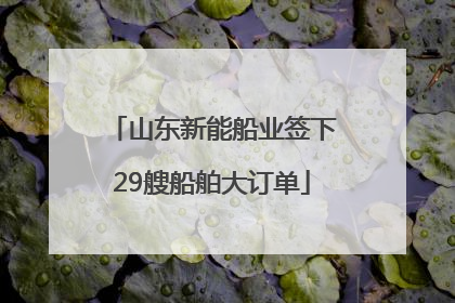 山东新能船业签下29艘船舶大订单