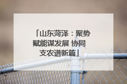 山东菏泽：聚势赋能谋发展 协同支农谱新篇