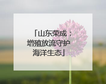 山东荣成：增殖放流守护海洋生态