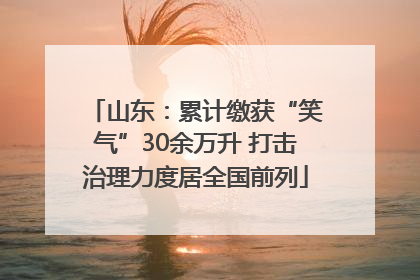 山东：累计缴获“笑气”30余万升 打击治理力度居全国前列