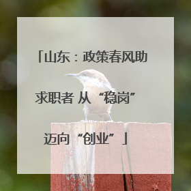 山东：政策春风助求职者 从“稳岗”迈向“创业”