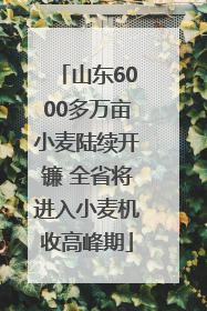 山东6000多万亩小麦陆续开镰 全省将进入小麦机收高峰期