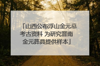 山西公布浮山金元墓考古资料 为研究晋南金元葬具提供样本