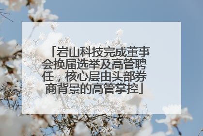 岩山科技完成董事会换届选举及高管聘任，核心层由头部券商背景的高管掌控