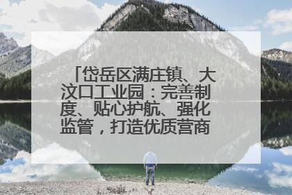 岱岳区满庄镇、大汶口工业园：完善制度、贴心护航、强化监管，打造优质营商“强磁场”
