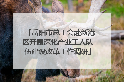 岳阳市总工会赴新港区开展深化产业工人队伍建设改革工作调研