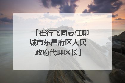 崔行飞同志任聊城市东昌府区人民政府代理区长