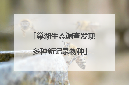 巢湖生态调查发现多种新记录物种